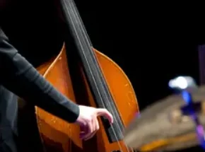 Double bass - £60